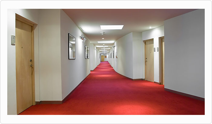 Business and office carpet cleaning
